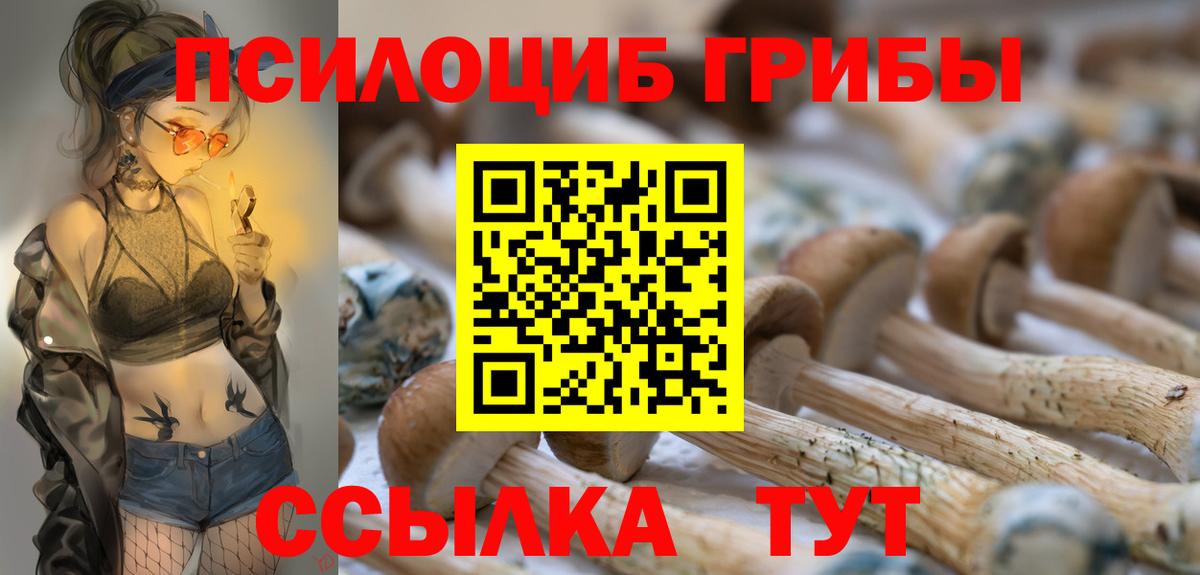 Галлюциногенные грибы Magic Shrooms  Псилоцибиновые грибы GOLDEN TEACHER  Вход с VPN  Вологда 