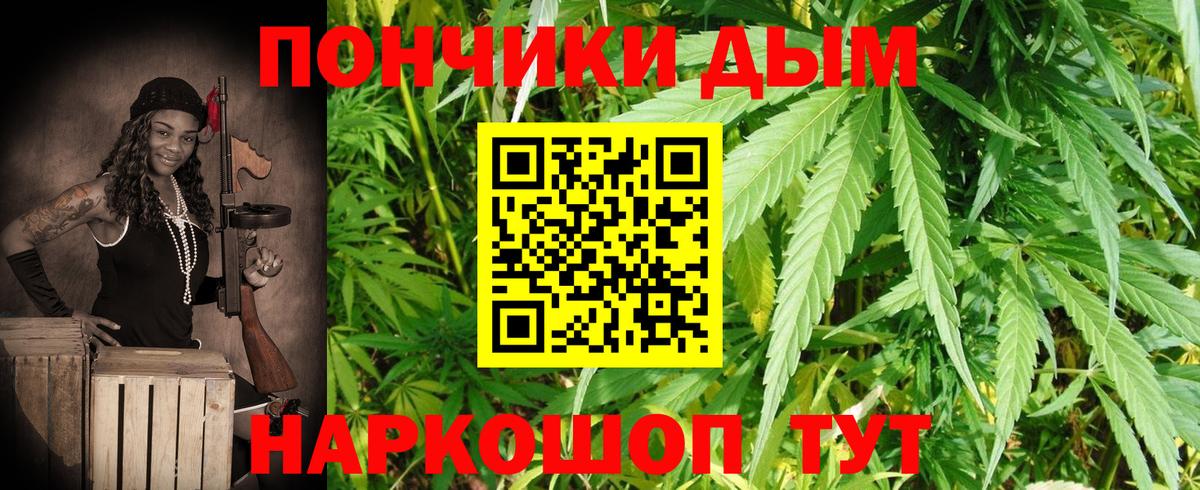 Конопля Bruce Banner  МАРИХУАНА гибрид  Вход с VPN  Вологда  Конопля планчик 
